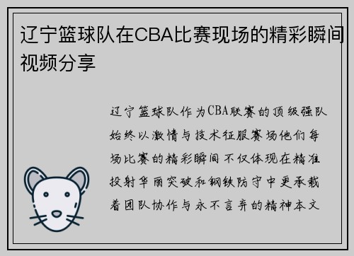 辽宁篮球队在CBA比赛现场的精彩瞬间视频分享